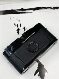 Leica MP 0.72 Black